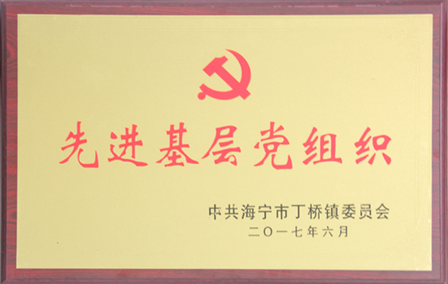 党支部